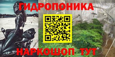 прущие грибы Братск