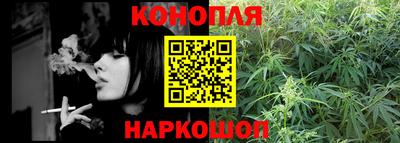 спиды Бердск