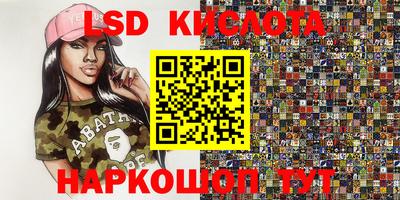 спиды Бердск