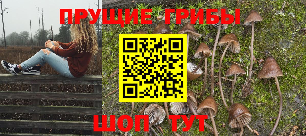 купить  цена  Галлюциногенные грибы Psilocybine cubensis  Вход с VPN  Коломна  Галлюциногенные грибы ЛСД 