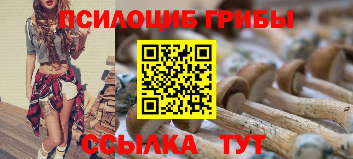 Псилоцибиновые грибы GOLDEN TEACHER Коломна